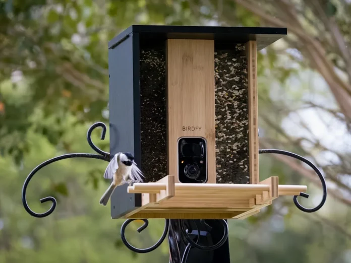 Best Bird Feeder Cameras