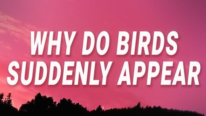 why do birds suddenly appear​