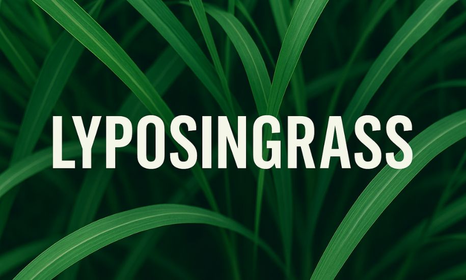 Lyposingrass