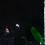 Security Cameras Record